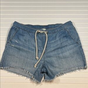Aerie Denim Short